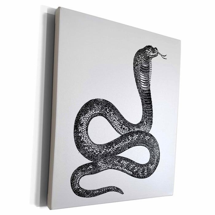 3dRose Florene Animals - Black and White Vintage Cobra Snake - Museum Grade Canvas Wrap (cw_37375)