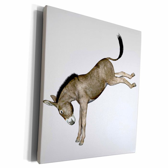 3dRose Boehm Graphics Animal - Donkey Kicking to the Back - Museum Grade Canvas Wrap (cw_62974)