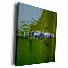 3dRose Florene Animals - Baby Gator - Museum Grade Canvas Wrap (cw_7442)